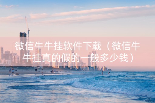 微信牛牛挂软件下载（微信牛牛挂真的假的一般多少钱）