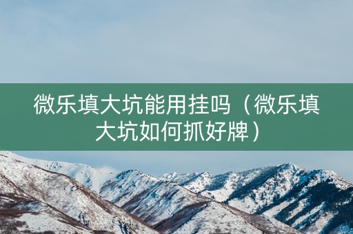 微乐填大坑能用挂吗（微乐填大坑如何抓好牌）
