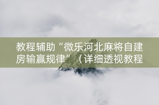 教程辅助“微乐河北麻将自建房输赢规律”（详细透视教程）-哔哩哔哩