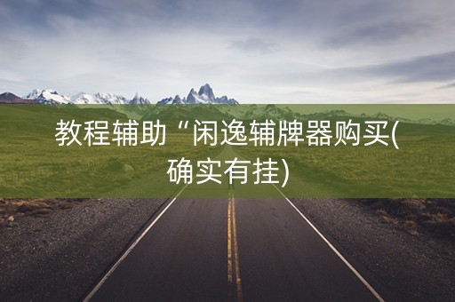教程辅助“闲逸辅牌器购买(确实有挂)