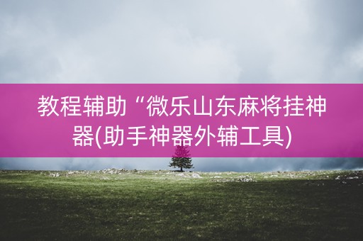 教程辅助“微乐山东麻将挂神器(助手神器外辅工具)