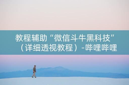 教程辅助“微信斗牛黑科技”（详细透视教程）-哔哩哔哩