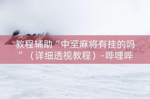 教程辅助“中至麻将有挂的吗”（详细透视教程）-哔哩哔哩