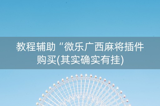 教程辅助“微乐广西麻将插件购买(其实确实有挂)