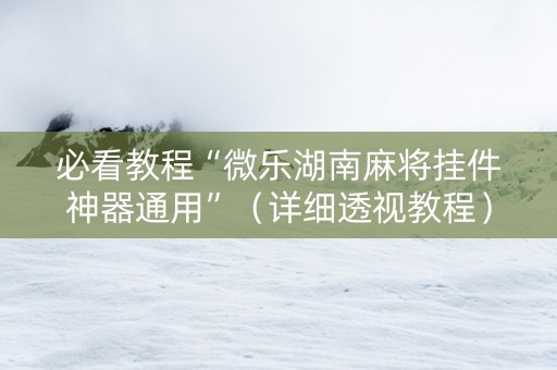 必看教程“微乐湖南麻将挂件神器通用”（详细透视教程）-哔哩哔哩