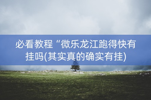 必看教程“微乐龙江跑得快有挂吗(其实真的确实有挂)
