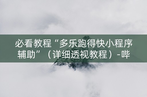 必看教程“多乐跑得快小程序辅助”（详细透视教程）-哔哩哔哩