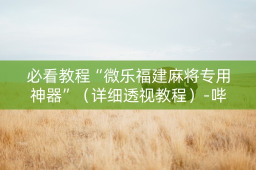必看教程“微乐福建麻将专用神器”（详细透视教程）-哔哩哔哩