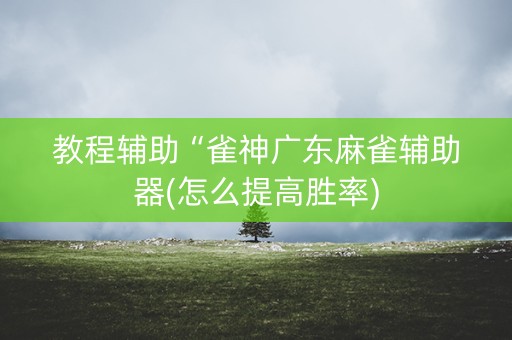 教程辅助“雀神广东麻雀辅助器(怎么提高胜率)