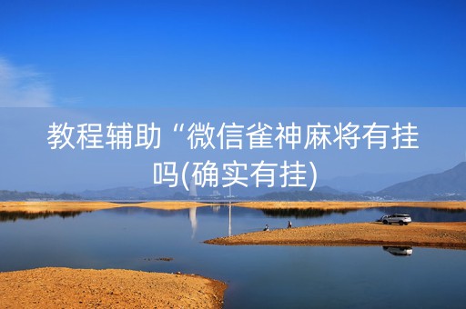教程辅助“微信雀神麻将有挂吗(确实有挂)