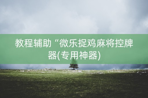 教程辅助“微乐捉鸡麻将控牌器(专用神器)