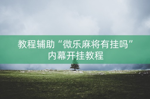 教程辅助“微乐麻将有挂吗”内幕开挂教程