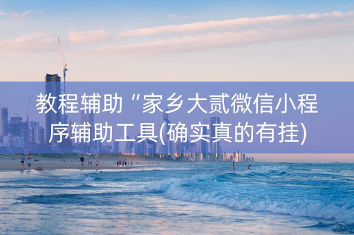 教程辅助“家乡大贰微信小程序辅助工具(确实真的有挂)