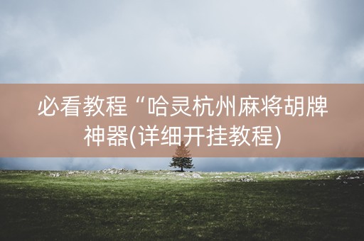 必看教程“哈灵杭州麻将胡牌神器(详细开挂教程)