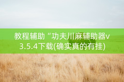 教程辅助“功夫川麻辅助器v3.5.4下载(确实真的有挂)