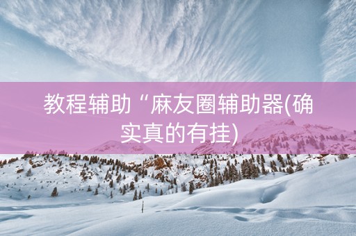 教程辅助“麻友圈辅助器(确实真的有挂)