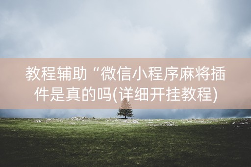 教程辅助“微信小程序麻将插件是真的吗(详细开挂教程)
