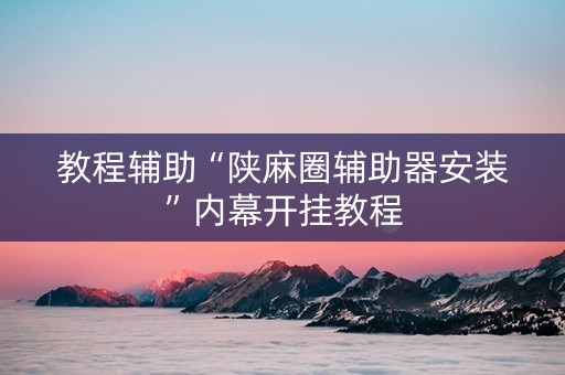 教程辅助“陕麻圈辅助器安装”内幕开挂教程