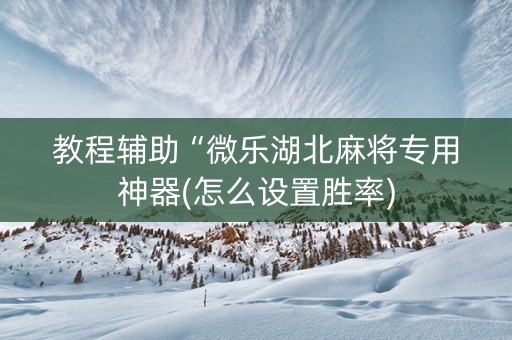 教程辅助“微乐湖北麻将专用神器(怎么设置胜率)