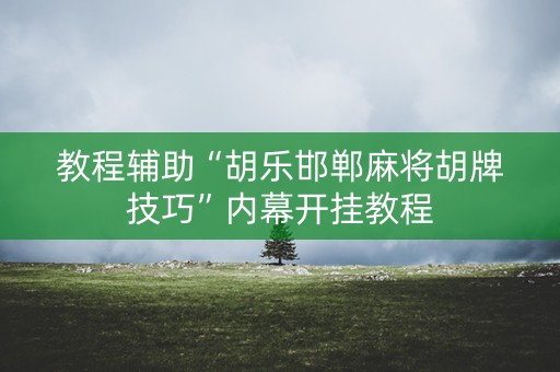 教程辅助“胡乐邯郸麻将胡牌技巧”内幕开挂教程