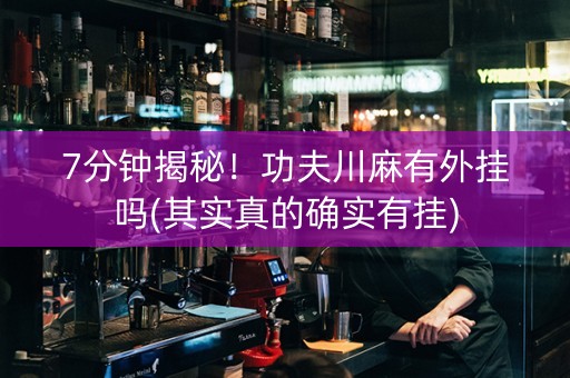 7分钟揭秘！功夫川麻有外挂吗(其实真的确实有挂)