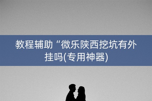 教程辅助“微乐陕西挖坑有外挂吗(专用神器)