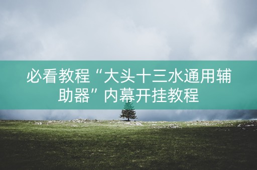 必看教程“大头十三水通用辅助器”内幕开挂教程