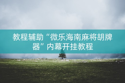 教程辅助“微乐海南麻将胡牌器”内幕开挂教程