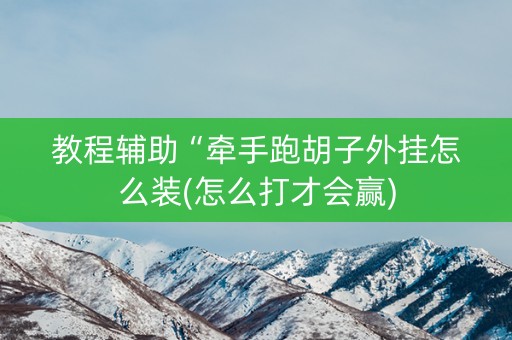 教程辅助“牵手跑胡子外挂怎么装(怎么打才会赢)