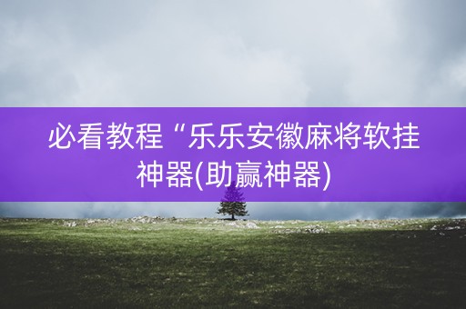 必看教程“乐乐安徽麻将软挂神器(助赢神器)