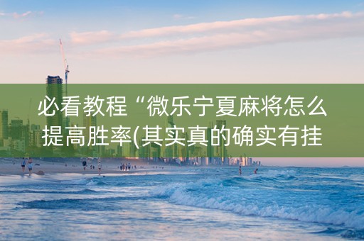 必看教程“微乐宁夏麻将怎么提高胜率(其实真的确实有挂)