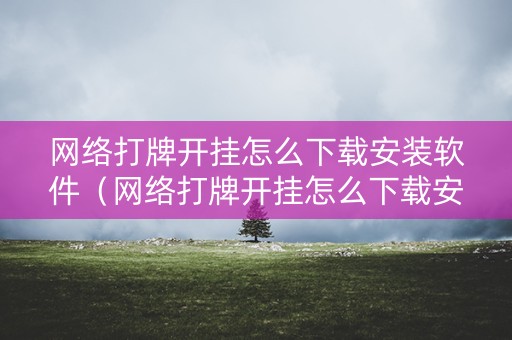 网络打牌开挂怎么下载安装软件（网络打牌开挂怎么下载安装软件啊）