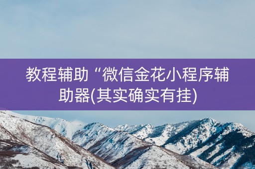 教程辅助“微信金花小程序辅助器(其实确实有挂)