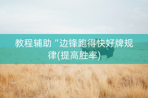 教程辅助“边锋跑得快好牌规律(提高胜率)