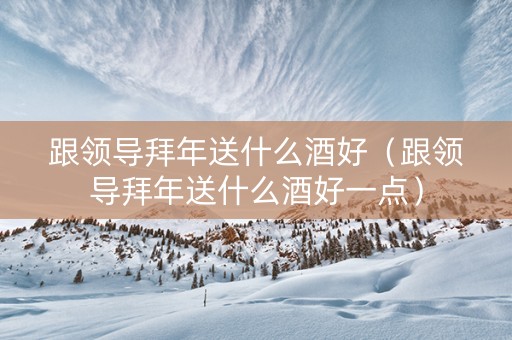 跟领导拜年送什么酒好（跟领导拜年送什么酒好一点）