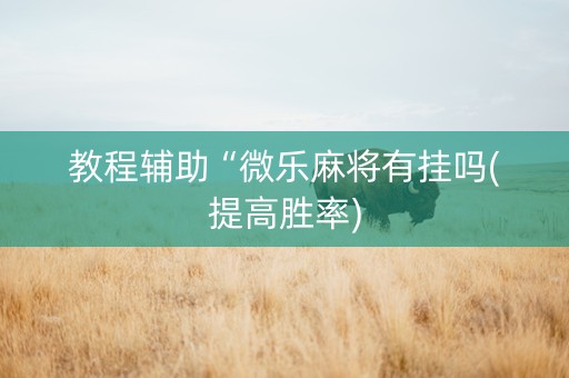 教程辅助“微乐麻将有挂吗(提高胜率)