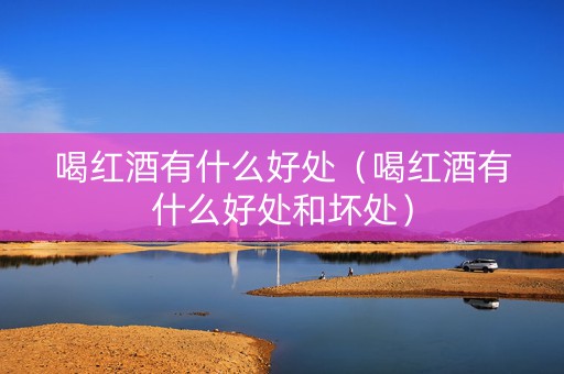 喝红酒有什么好处（喝红酒有什么好处和坏处）