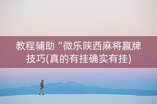 教程辅助“微乐陕西麻将赢牌技巧(真的有挂确实有挂)
