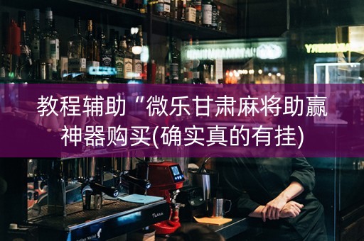 教程辅助“微乐甘肃麻将助赢神器购买(确实真的有挂)