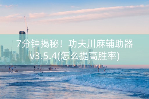 7分钟揭秘！功夫川麻辅助器v3.5.4(怎么提高胜率)