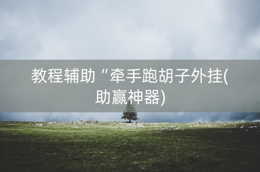 教程辅助“牵手跑胡子外挂(助赢神器)