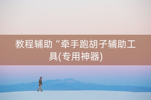 教程辅助“牵手跑胡子辅助工具(专用神器)