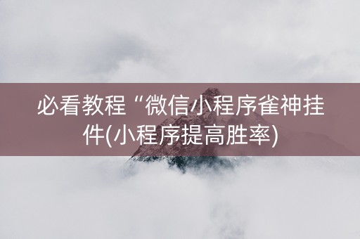 必看教程“微信小程序雀神挂件(小程序提高胜率)
