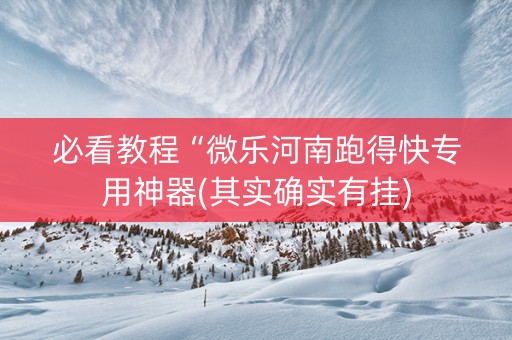 必看教程“微乐河南跑得快专用神器(其实确实有挂)
