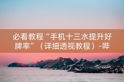 必看教程“手机十三水提升好牌率”（详细透视教程）-哔哩哔哩