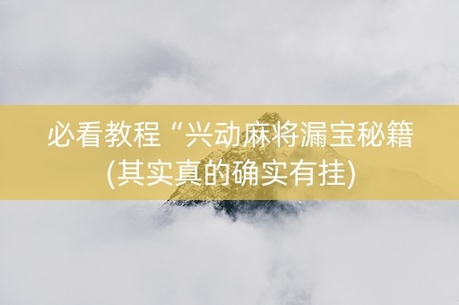 必看教程“兴动麻将漏宝秘籍(其实真的确实有挂)