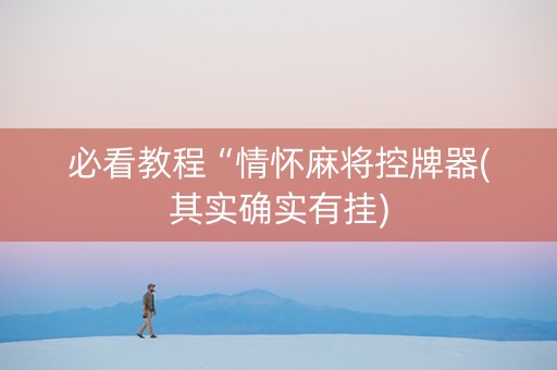 必看教程“情怀麻将控牌器(其实确实有挂)