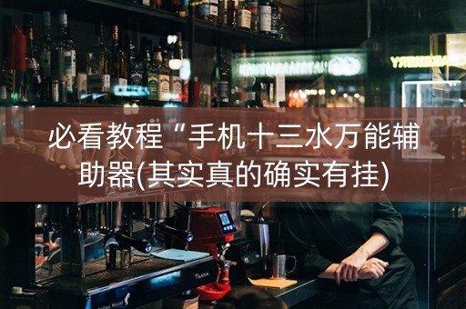 必看教程“手机十三水万能辅助器(其实真的确实有挂)