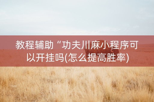 教程辅助“功夫川麻小程序可以开挂吗(怎么提高胜率)