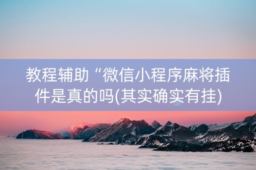 教程辅助“微信小程序麻将插件是真的吗(其实确实有挂)
